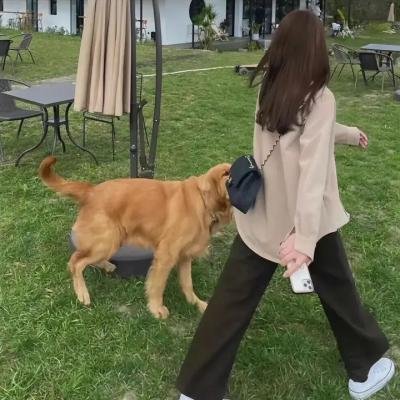 船续前行
